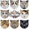 Billbotk 8 Pieces Diamond Painting Coasters Kit with Holder, Diamond Art Coasters, DIY Diamond Art Crafts Projects, Diamond Dotz Kits for Adults and Beginners(Cat Style)